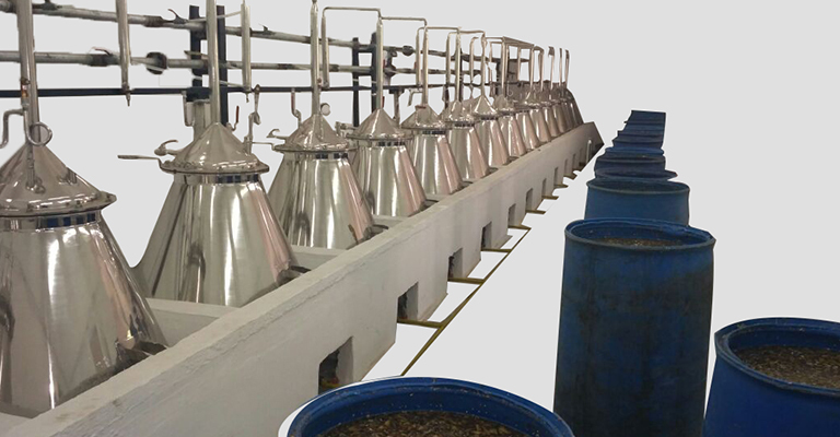 Agar wood Oil Distillation Plant