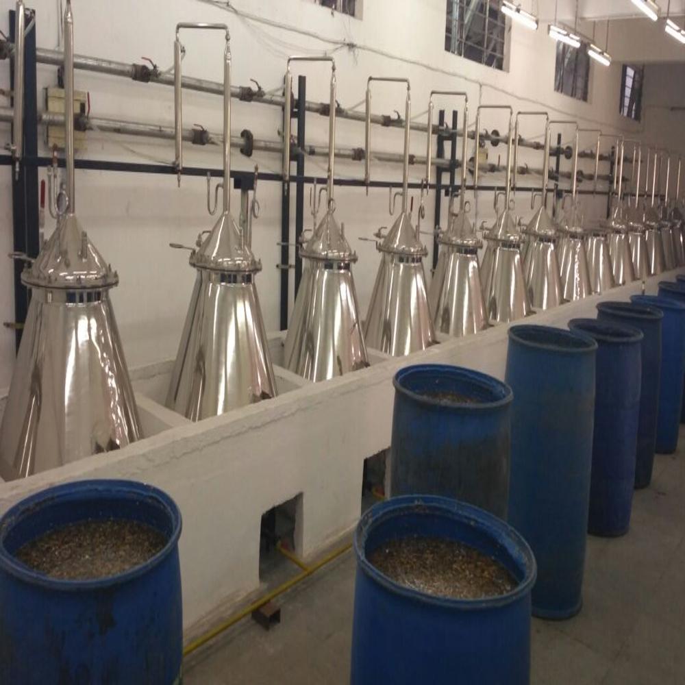 Amyris Wood Distillation Plant - Automatic Grade: Semi-automatic