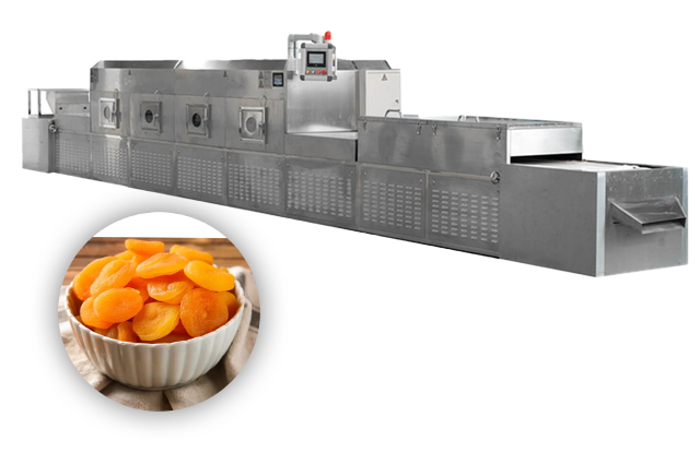 Microwave Drying Machine