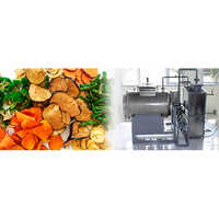Vacuum Fryer - Material: Stainless Steel