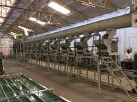 Cashew Nut Processing Plant - Automatic Grade: Semi-automatic
