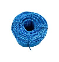 Plastic Binding Rope - Color: Blue