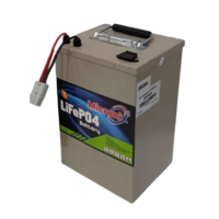 60V 42AH Lfp Battery