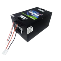 Electric Rickshaw Lithium Battery - Net Weight: 25  Kilograms (kg)