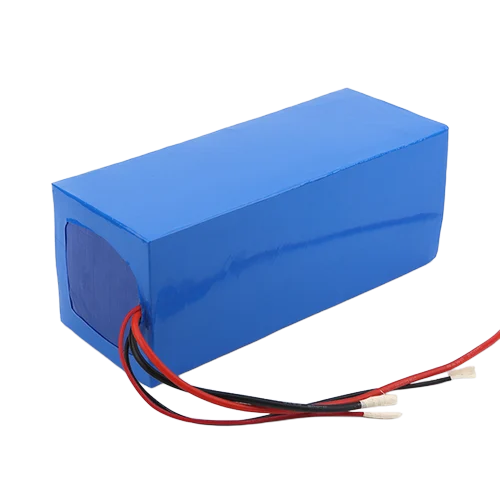 Micronix Lithium Ferro Phosphate Battery Pack - Features: 100 % Mercury Free