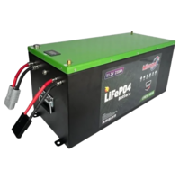 51.2v 210ah Lfp Battery Pack - Features: 100 % Mercury Free