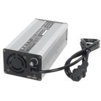 Lithium Battery Charger