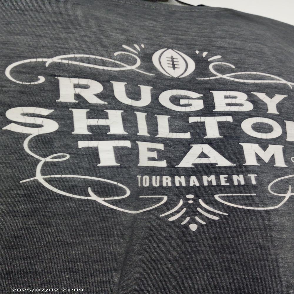 Logo Printed Corporate T-shirt - Age Group: Adults