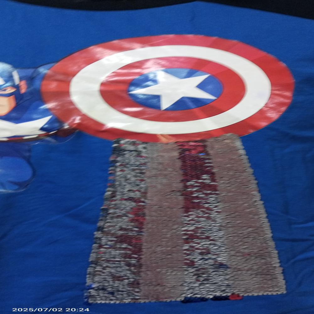 Logo Embroidered T-shirt - Age Group: Adults