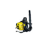 Petrol Leaf Blowers