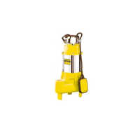 Electric Submersible Water Pump