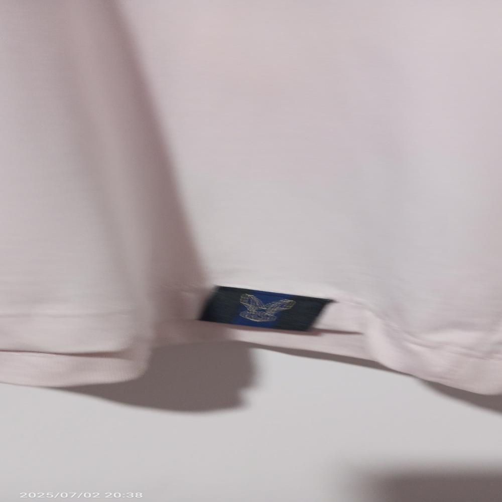 Corporate T-Shirt with Logo