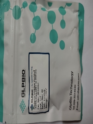 Protease inhibitor cocktail 100X 1ml