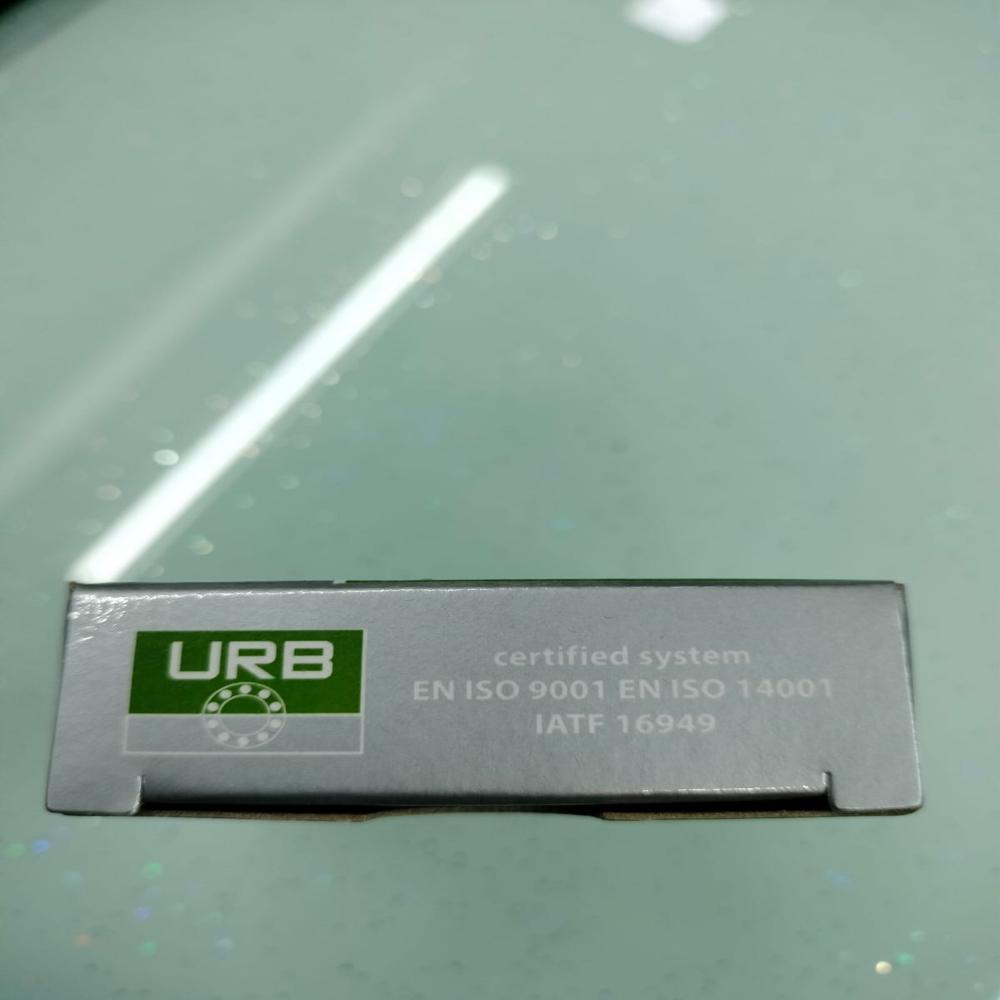 6005 2ZR URB Deep Groove Ball Bearings