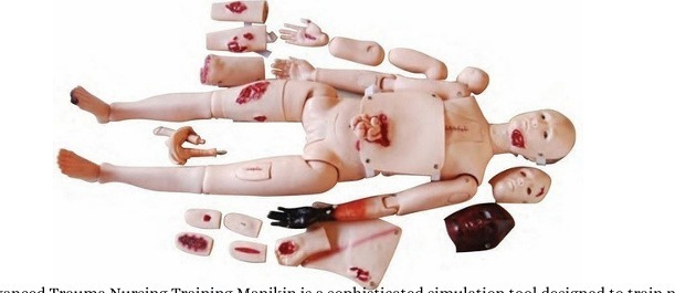 Best Price Advanced Trauma Nursing Training Manikin - Application: Hospital