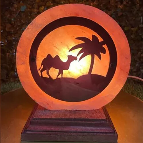 Himalayan Salt Lamp Camel Desert 3d
