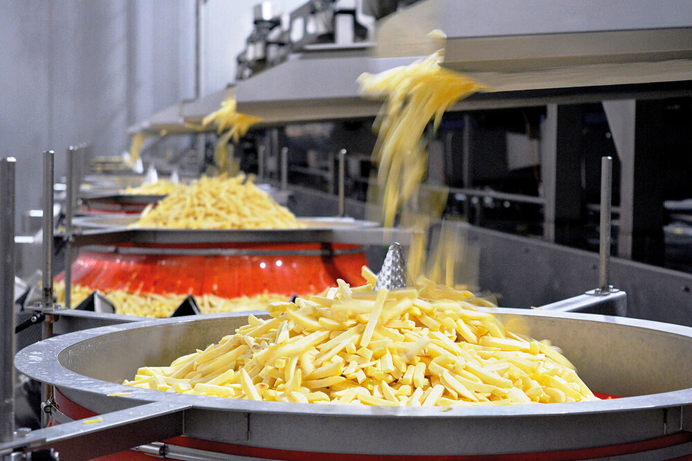 Crinkle-cut fries