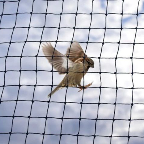 - बालाजी सेफ्टी प्रोजेक्ट्स