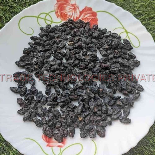 Afghan Black Raisin with Seeded