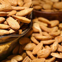 Mamra Almond Kernel - Color: Brown