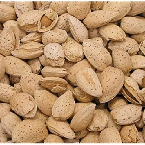 Inshell California Almonds - Color: Natural Brown