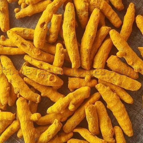 Turmeric Finger Sangli - Good Quality