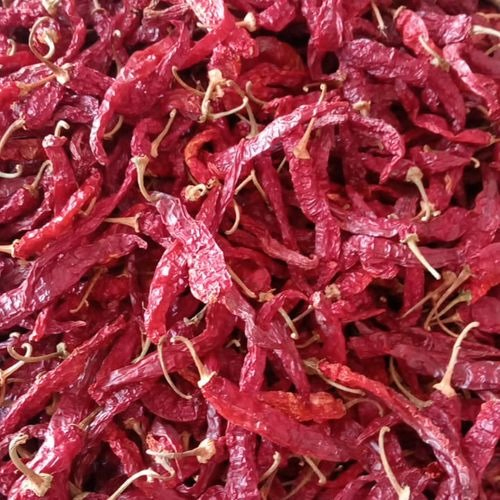 Dandidar Whole Red Chilli - Grade: A