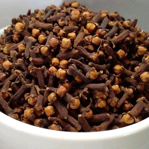 Indian Clove (Idukki) - Color: Brown