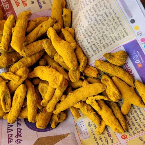 Turmeric Finger ( Double Polish) - Color: Yellow