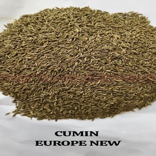 Jeera Europe Export Quality
