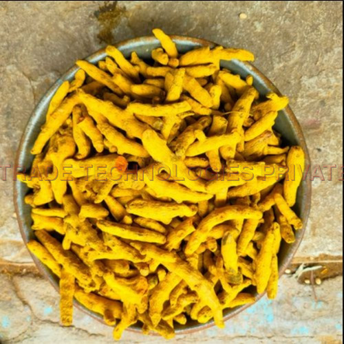 Turmeric Haldi Finger Selam ( Farmer Polish )