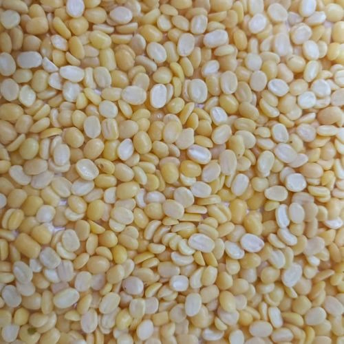 Yellow Moong - Mogar Dal ( Standard Quality ) - Cultivation Type: Organic