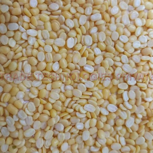 Yellow Moong - Mogar Dal ( Standard Quality )