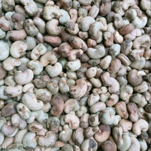 Raw Cashew Nuts (RCN) (Benin)