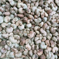 Raw Cashew Nuts (RCN) (Benin)