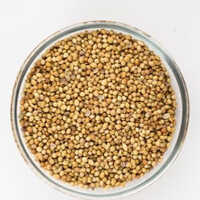 Dhaniya Seed