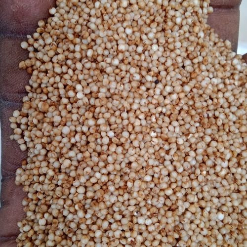 Kodo Millet - Color: Brown
