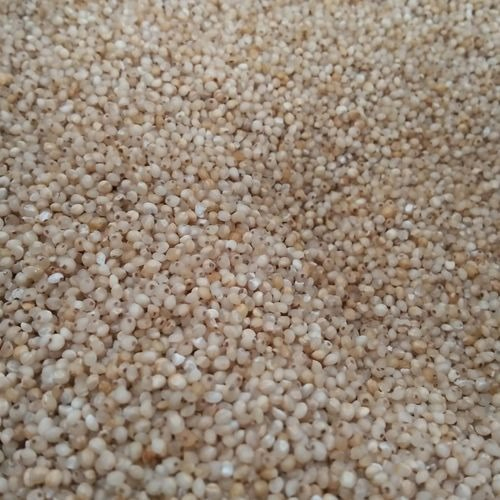 Barnyard Millet - 25 Kilograms, Brown Color | Grade: Best Quality, Moisture: 6%, Purity: 98%, Shelf Life: 3 Months, Type: Vegetable Seeds