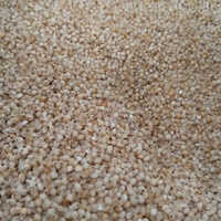 Barnyard millet