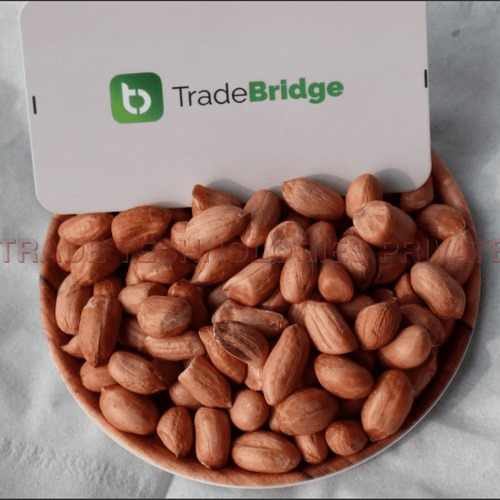 Indian Peanut Bold (New Crop) 40-50