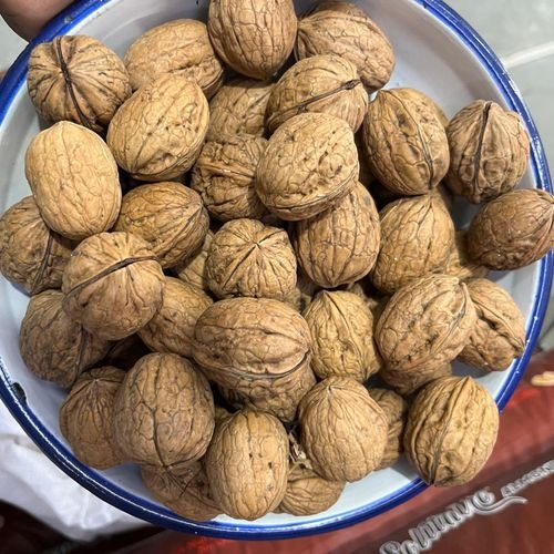 Chile Walnuts Inshell - Color: Brown