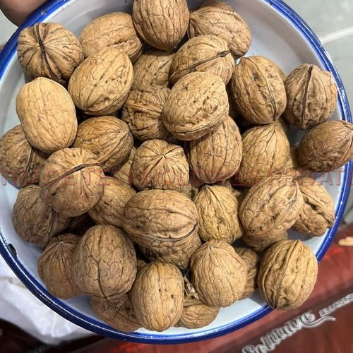 चिली अखरोट, अस्तित्व में कागज के आवरण में
