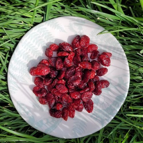 Cranberry Whole Canadian - Color: Red