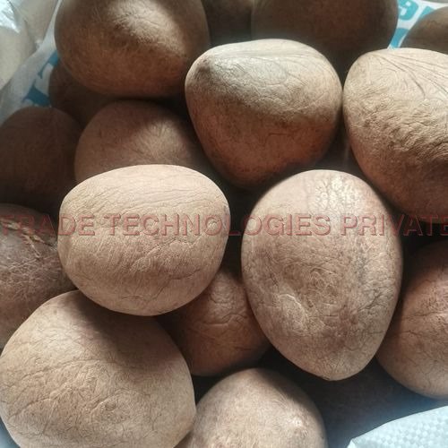 सूखी नारियल (कोप्रा) प्रीमियम गुणवत्ता