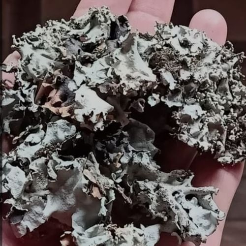 Stone Flower