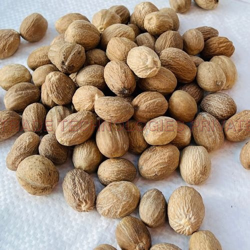 Jaiphal (Nutmeg)