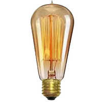 Electric Light Bulb