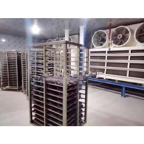 Frozen Cold Storage - Capacity: 1 Ton