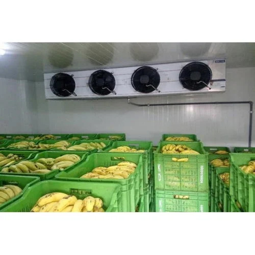 Blue Star Banana Ripening Chamber - Capacity: 10 Ton