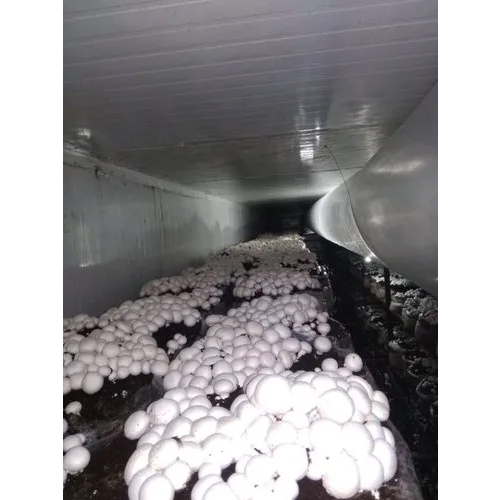 Mushroom Growing Chamber - Climate Type: Cool
